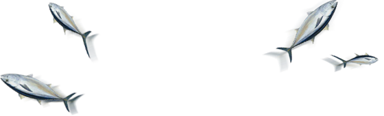 ca